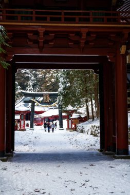 Futarasan Tapınağı 'na giden yol, Nikko, Japonya