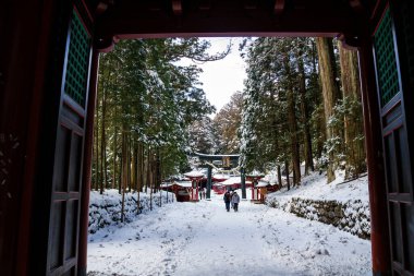 Futarasan Tapınağı 'na giden yol, Nikko, Japonya