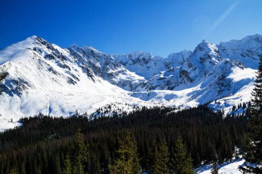 Gasienicowa Vadisi, Tatra Dağları, Polonya