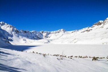 Kış yolu dağ vadisi karı, Yüksek Tatra Dağları, Polonya
