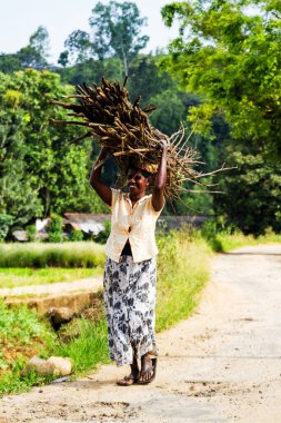 ELLA, SRI LANKA - 20 Mart 2013 'te Ella, Sri Lanka' da odun taşıyan Sri Lankalı kadın, aceleyle çocuklara doğru yola çıktı..