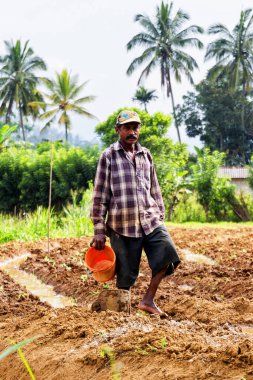 ELLA, SRI LANKA - 18 Mart 2013 'te Ella, Sri Lanka' da tarlalarında çalışan kimliği belirsiz bir çiftçi....