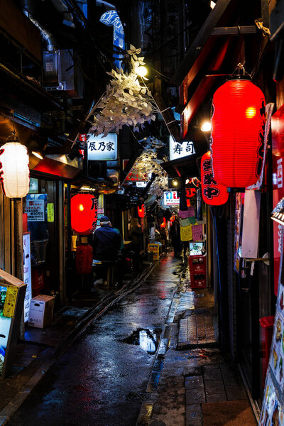 ТОКИО, ЯПОНИЯ - 16 ЯНВАРЯ: Узкая пешеходная улица, известная как аллея Якатори в старом районе Синдзюку в Токио, Япония, в ночь на 16 января 2011 года. Несколько традиционных ресторанов расположены здесь
