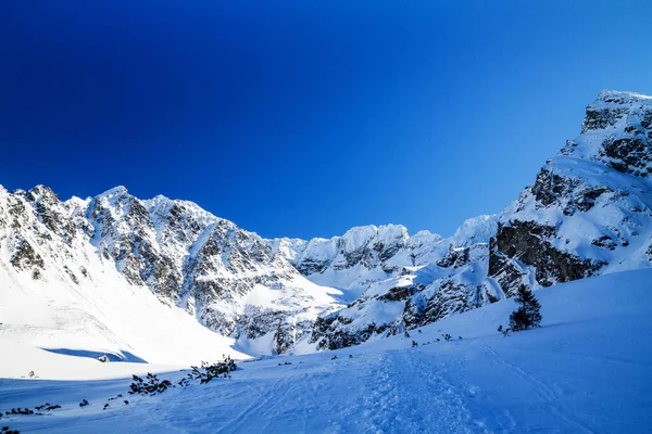 Gasienicowa Vadisi 'nin kış manzarası - Yüksek Tatra Dağları