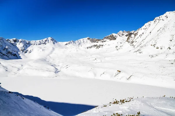 Kış Yolu Dağ Vadisi Karı Yüksek Tatra Dağları Polonya — Stok fotoğraf