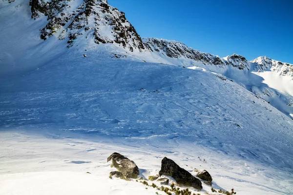 Winter Trail Mountain Valley Snow High Tatra Mountains Polônia — Fotografia de Stock