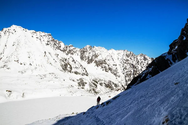 Kış Yolu Dağ Vadisi Karı Yüksek Tatra Dağları Polonya — Stok fotoğraf