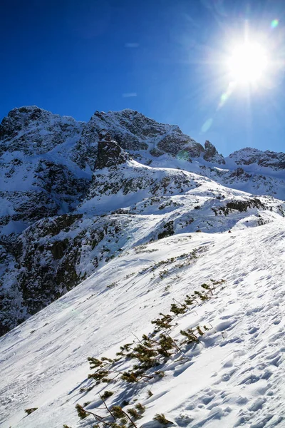 Χειμερινό Μονοπάτι Βουνό Κοιλάδα Χιόνι Όρη Τάτρα Πολωνία — Φωτογραφία Αρχείου