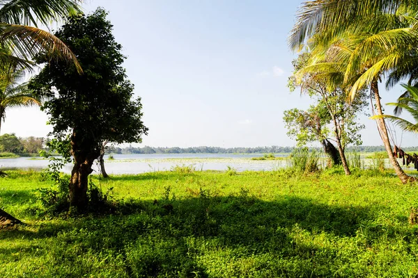 Vista Lago Sri Lanka — Foto de Stock