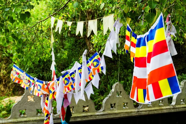 Banderas Budistas Templo Sri Lanka — Foto de Stock