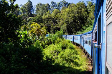 Çay evlerinde tren yolculuğu, Sri Lanka