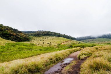 Orman, savana ve su Horton ovalarında