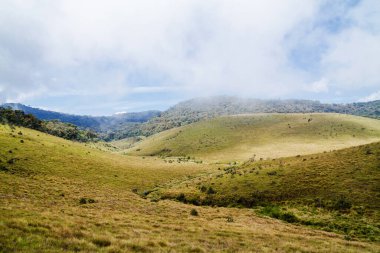 Orman, savana ve su Horton ovalarında