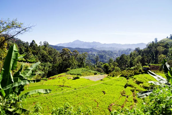 Las Montañas Alrededor Ella Sri Lanka — Foto de Stock