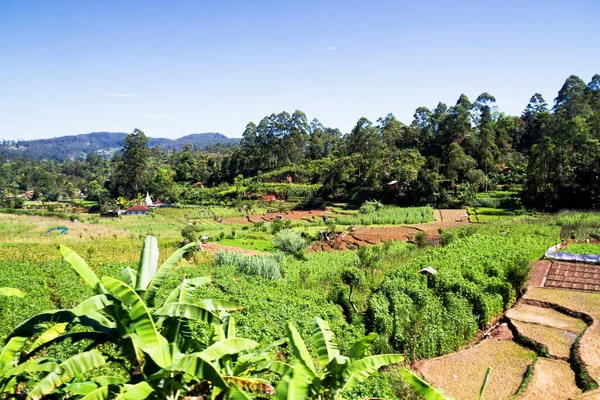 Las Montañas Alrededor Ella Sri Lanka — Foto de Stock