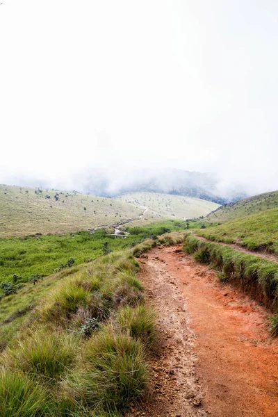 Forest, savanna, and water at Horton Plains