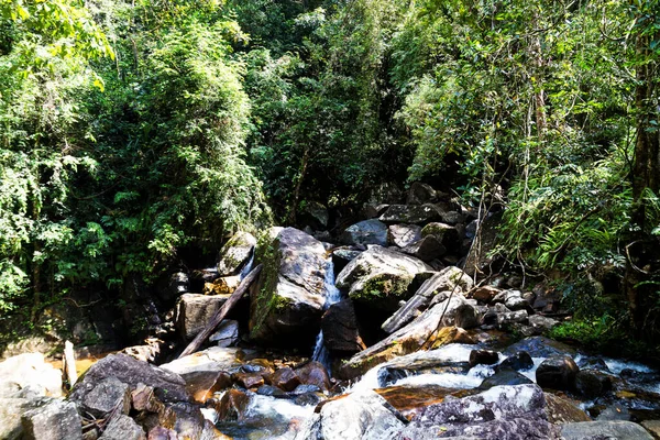 Sinharaja Cascada Bosque Lluvioso Bosque — Foto de Stock