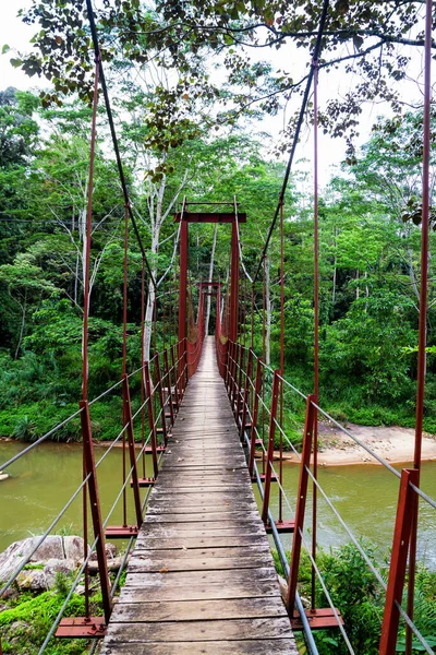 Puente Colgante Peatonal Sobre Río Selva Tropical — Foto de Stock