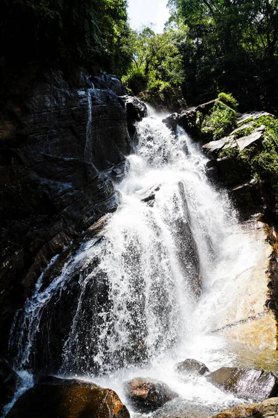 Sinharaja Deštný Prales Vodopád Lese — Stock fotografie