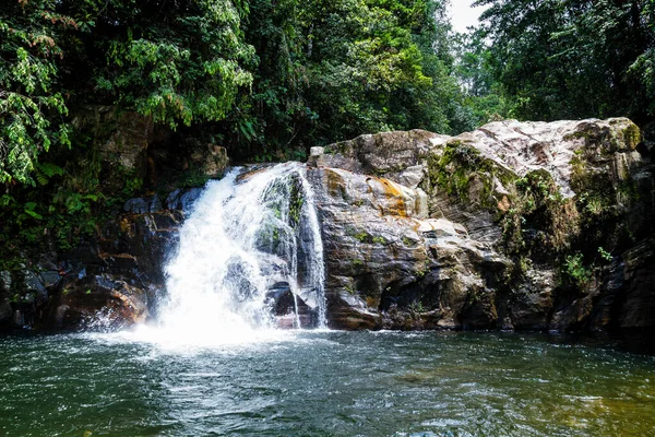 Floresta Tropical Sinharaja Cachoeira Floresta — Fotografia de Stock
