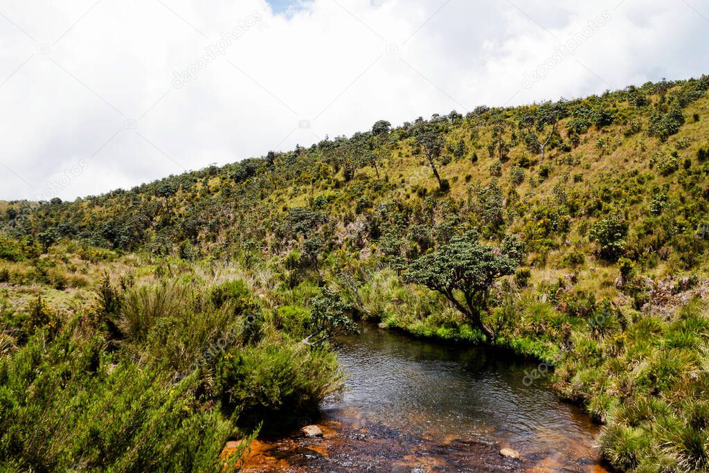 River on the Horton Plains, Sri Lanka