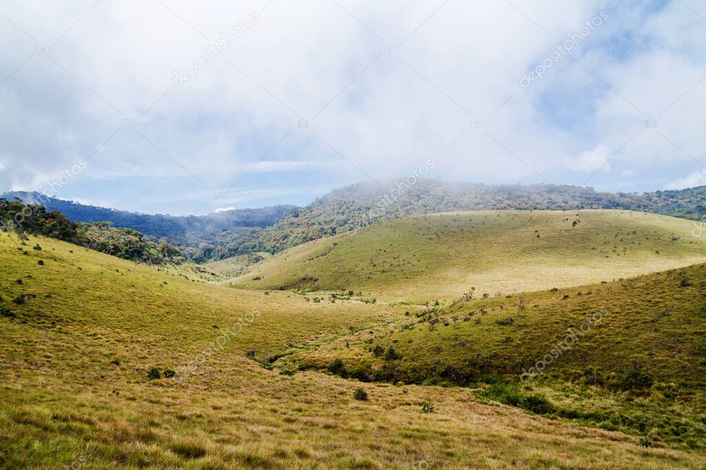 Forest, savanna, and water at Horton Plains