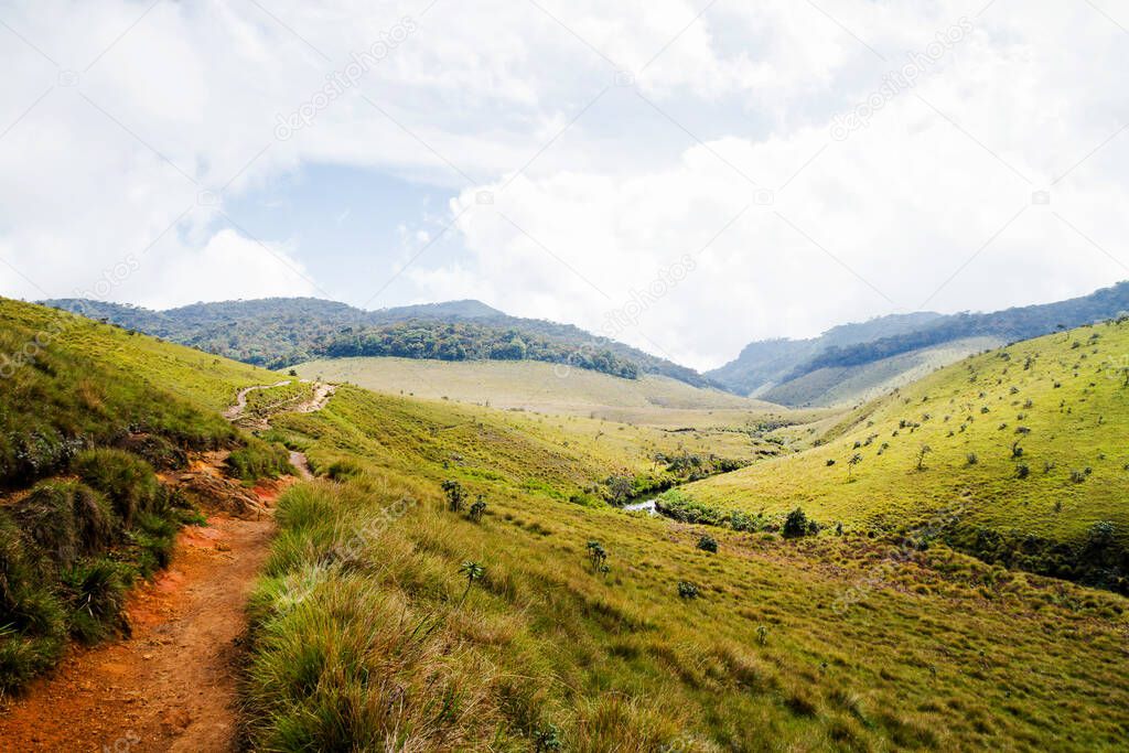 Forest, savanna, and water at Horton Plains