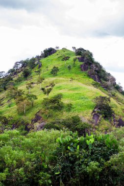 Güneşli bir günde güzel dağ manzarası, Sri Lanka
