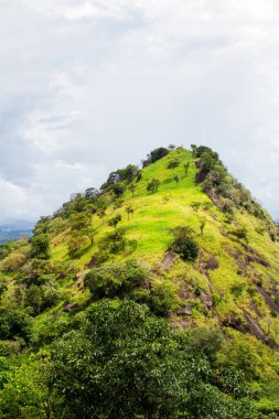 Güneşli bir günde güzel dağ manzarası, Sri Lanka