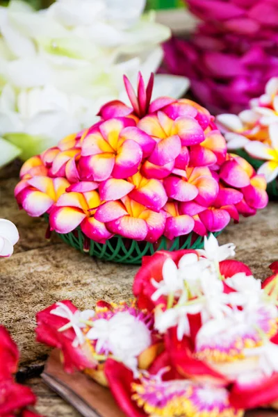 Çiçekler Sri Lanka — Stok fotoğraf