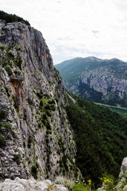 Yazın dağ manzarası