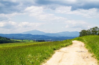 Kırsalda toprak yol perspektifi