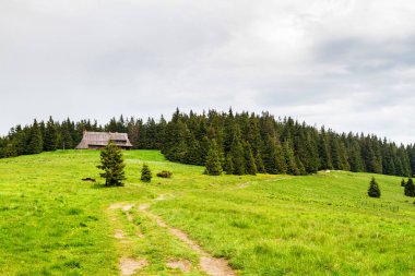 Ahşap kulübe, Gorce Ulusal Parkı, Polonya