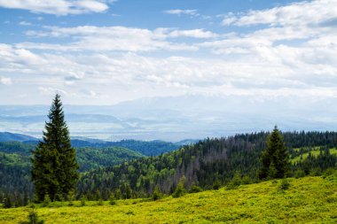 Dağlardaki güzel bahar manzarası