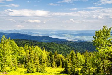 Dağlardaki güzel bahar manzarası