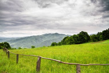 Baharda dağlar, Gorce Ulusal Parkı, Polonya