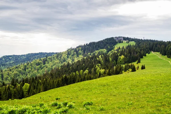 Nationalpark Gorce Polen — Stockfoto