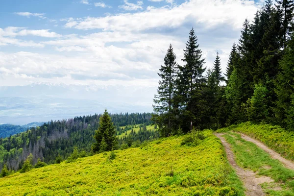 Schöne Frühlingslandschaft Den Bergen — Stockfoto