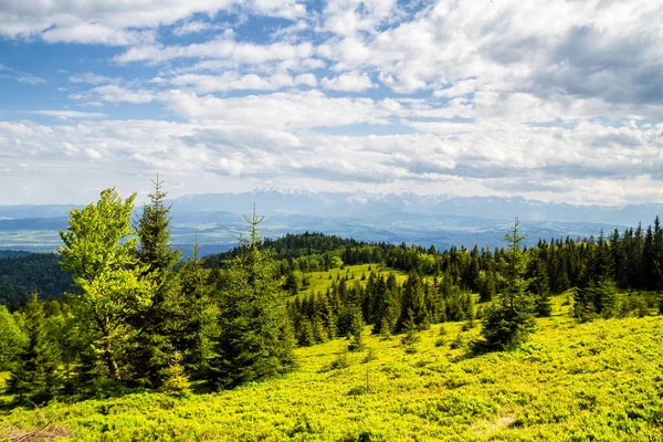 Schöne Frühlingslandschaft Den Bergen — Stockfoto