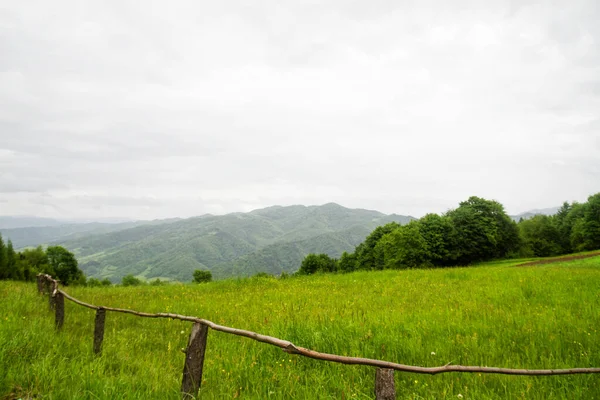 Gebirge Frühling Nationalpark Gorce Polen — Stockfoto