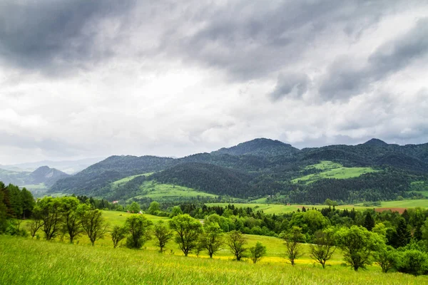 Montanhas Durante Primavera Gorce National Park Polônia — Fotografia de Stock