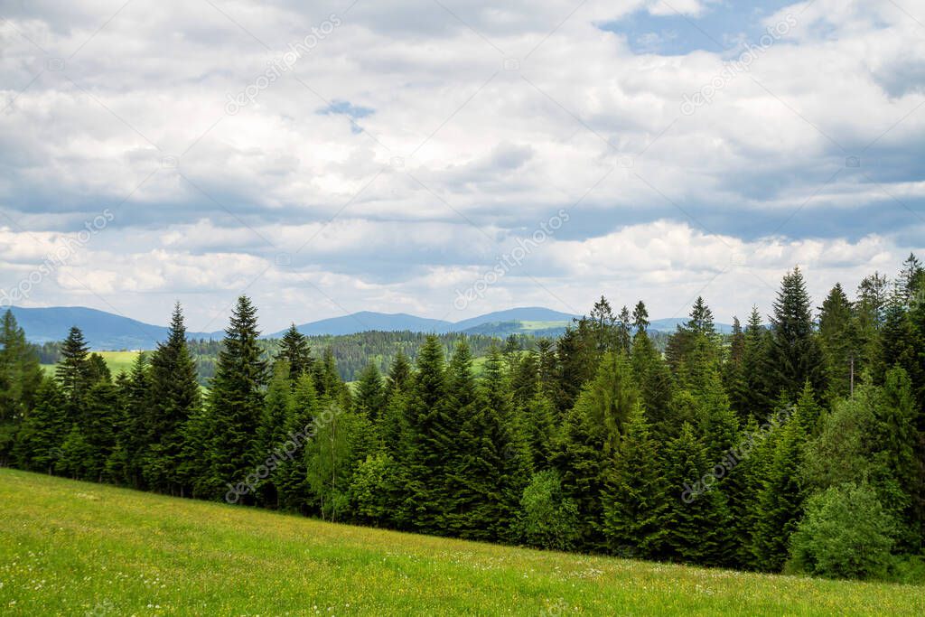Mountain view, Gorce National Park, Poland