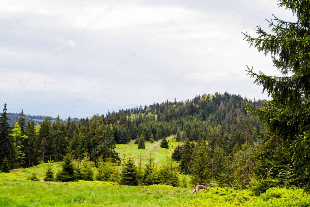 Mountain view, Gorce National Park, Poland
