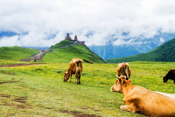 Tsminda Sameba Heliga Treenighetskyrkan Nära Byn Kazbegi Gergeti Kyrkan Ligger — Stockfoto