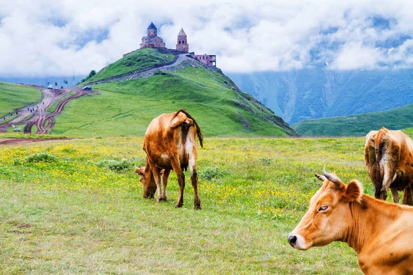 Tsminda Sameba Heliga Treenighetskyrkan Nära Byn Kazbegi Gergeti Kyrkan Ligger — Stockfoto