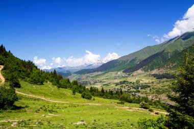 Kafkasya 'da yaz manzarası, arka planda Ushba, Georgia.