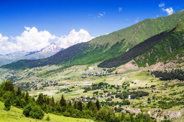 Kafkasya 'da yaz manzarası, arka planda Ushba, Georgia.