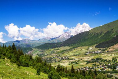 Kafkasya 'da yaz manzarası, arka planda Ushba, Georgia.
