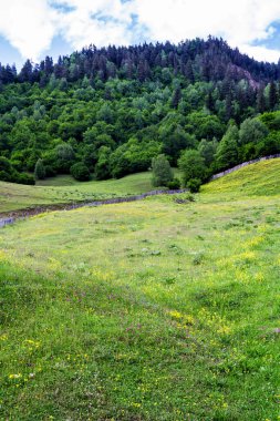 Ushguli Gürcistan 'da otlak arazisi