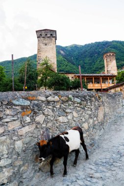 Savunma kulesi, Mestia, Yukarı Svanetia, Kafkasya Dağları, Georgia